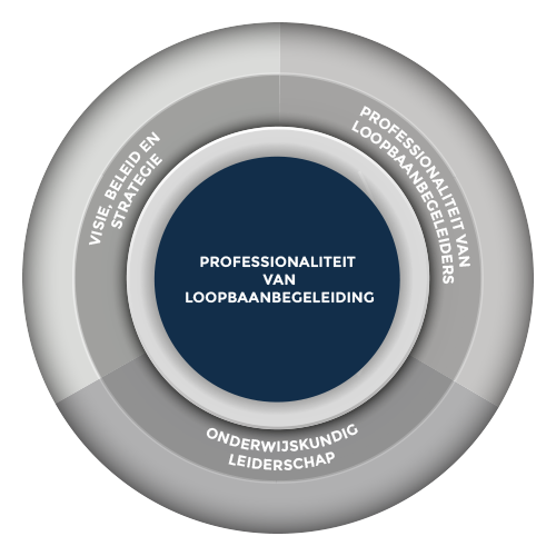 Professionaliteit van loopbaanbegeleiding in het mbo