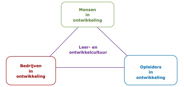 Beleidslijnen LLO